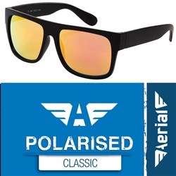 Aerial Polarised Classic Sunglasses