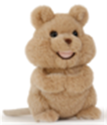 Little Quoksworth Quokka 25cm