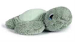 Little Tyler Turtle 20cm