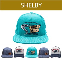 CAP LIC SHELBY - 6 PACK