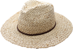 Justin Raffia Hat - Natural