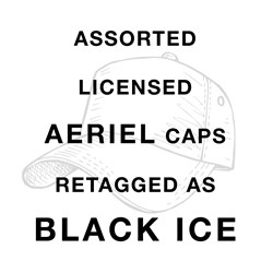 BI Licensed Cap - Assorted