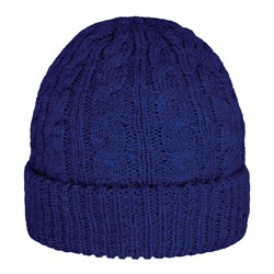 Arlo Beanie - Navy