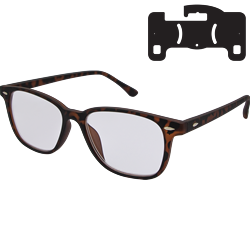 HF 4181 Tort 2.5