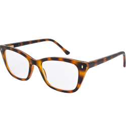 LPM 4175 Tort 1.5