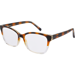 LPM 4176 Tort 1.0