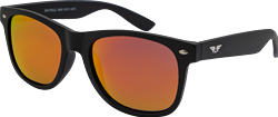AE Sunglasses 6pc Polarised Classic CDU