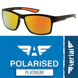 Aerial Polarised Platinum Sunglasses