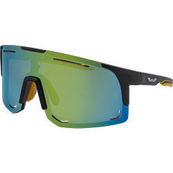 Aerial Sunglass Prem Pol Fashion FP-2 12pk