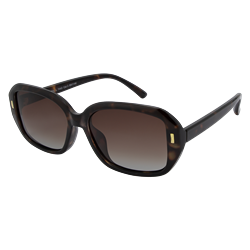 XL 7443 Brown Brown Gradient