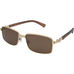 XM 2870 Gold Brown