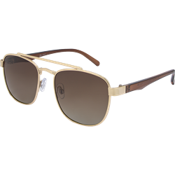 XM 2871 Gold Brown