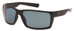 Stingray Sunglass Cobia Blk Smk 4922 POL