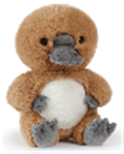 Pippa Platypus 25cm