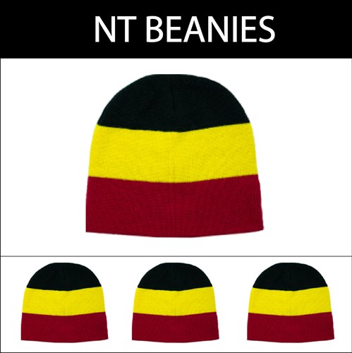 BEANIE NT - 4 PACK