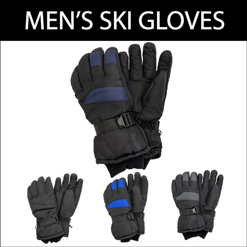 SKI GLOVES MENS 1 ASSORTED