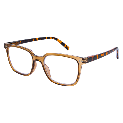 Recycled LB 4173 Brown Tort 2.5