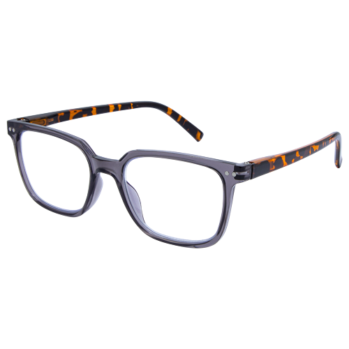 Recycled LB 4173 Grey Tort 2.0