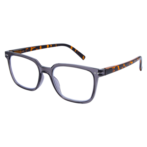 Recycled LB 4173 Grey Tort 3.0