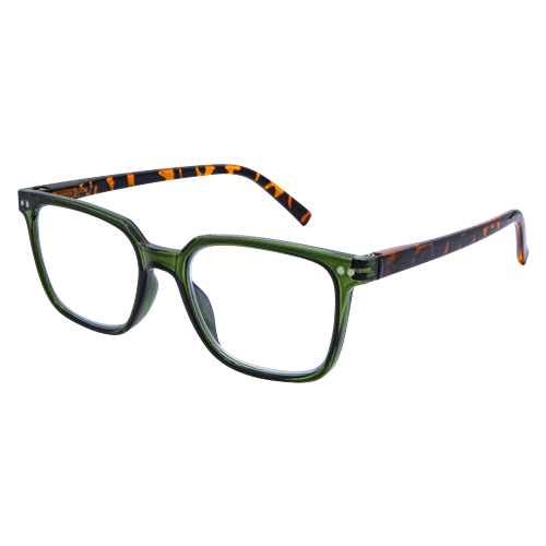 Recycled LB 4173 Olive Tort 2.5