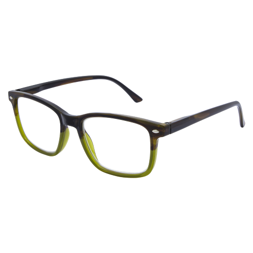 LF 4166 Olive Black 2.5