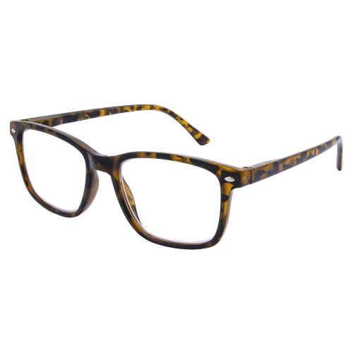 LF 4166 Tort 1.0