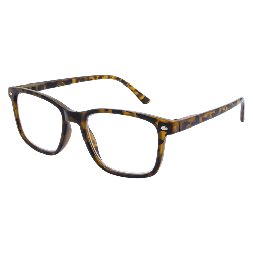LF 4166 Tort 2.5