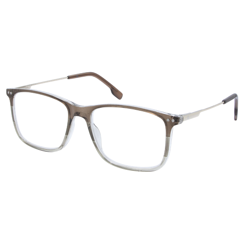 LPM 4169 Brown Silver 2.0