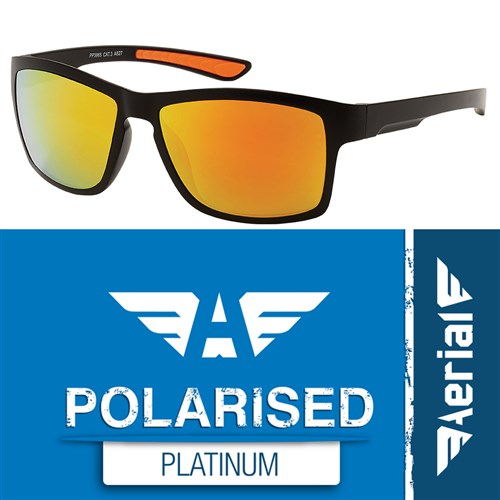 Aerial Polarised Platinum Sunglasses