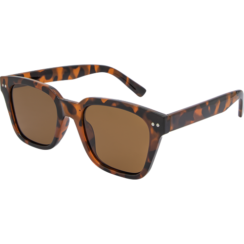 XR 7347 Tort Brown
